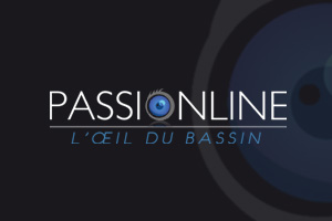 Création Logo : Passionline